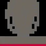 Bureau Veritas company icon