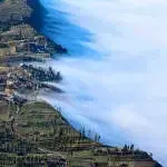 Reanda Bernardi company icon