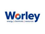Worley company icon