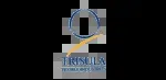 PT Trisula Export Indonesia company icon